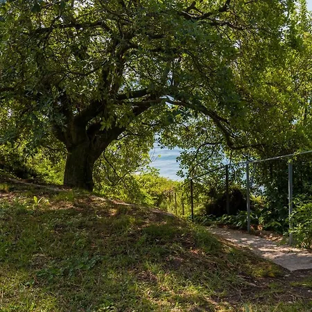Holiday home Fasanella: Sulla Garda (Verona)